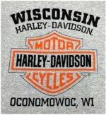 HARLEY-DAVIDSON Men's Hoodie Hoodie 222