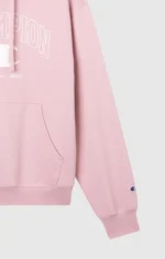 Men’s Fleece Hoodie Street Varsity light terracotta 1