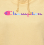 Vintage Champion Pastel Printed Hoodie -