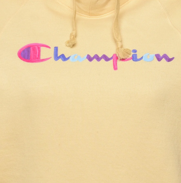Vintage Champion Pastel Printed Hoodie -