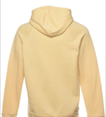 Vintage Champion Pastel Printed Hoodie -2