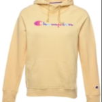 Vintage Champion Pastel Printed Hoodie - S