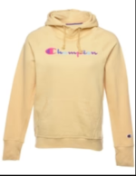Vintage Champion Pastel Printed Hoodie - S
