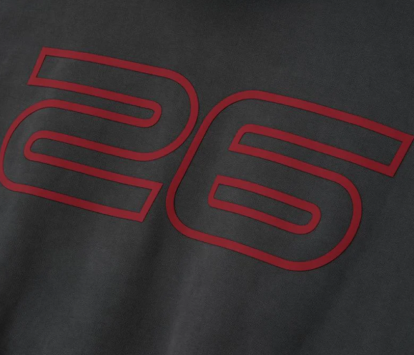 Heavy Fleece 90s Hoodie gray 111